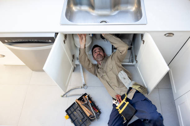 Best Clogged Drain Plumber  in Old Stine, CA